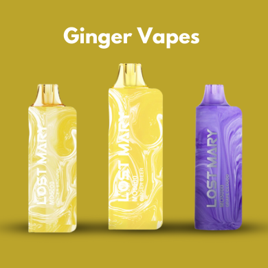 Lost Mary Ginger Vapes Lost Mary Ginger Vapes